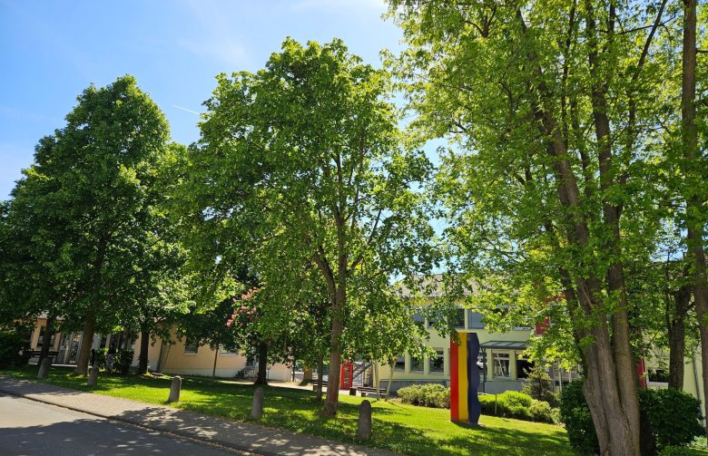 Bäume vor dem Rathaus in Kirberg